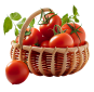 basket-of-red-tomatoes-png